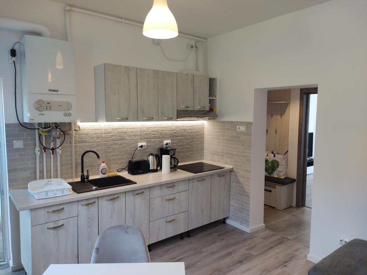 Gigi Apartment Cluj Napoca Bagian luar foto